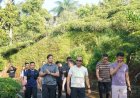 *Peduli Alam, Kapolda Jabar Bersama Polres Cianjur Lakukan Pemulihan Ekosistem Gunung Gede Pangrango*